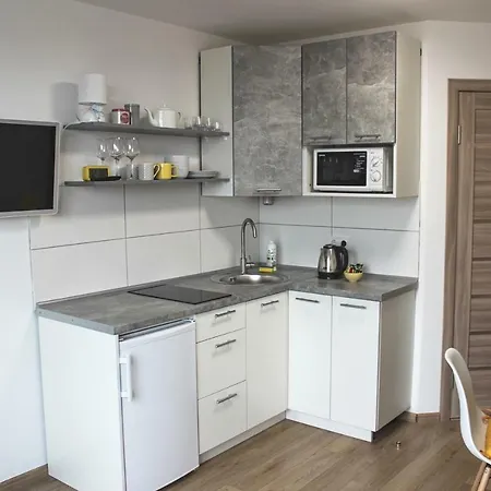 Panoramic View Apartment Lviv